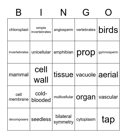 Unit A Vocab Bingo Card