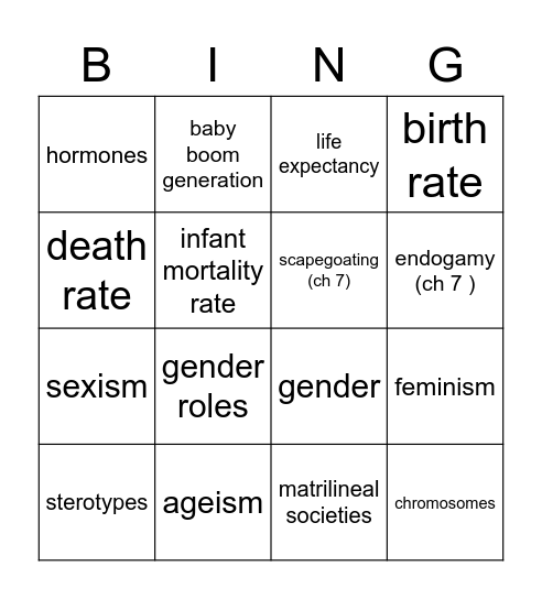 Sociology Ch 8 Vocab Bingo Card