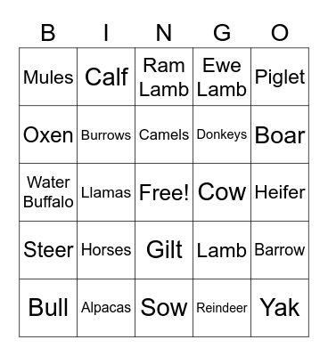 Cooper's Animal-Lingo Bingo Card
