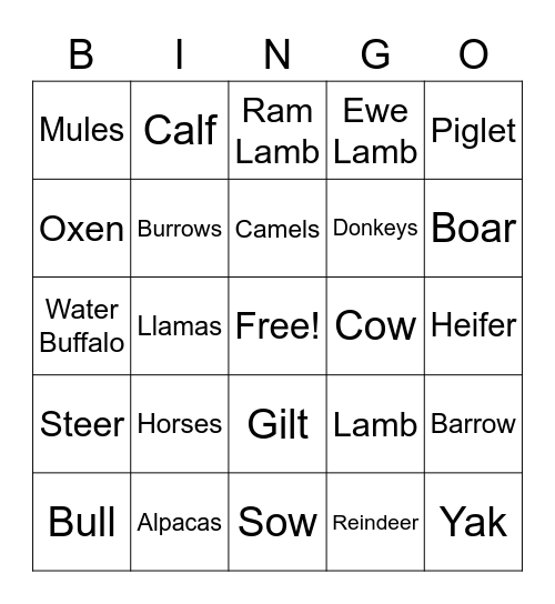 Cooper's Animal-Lingo Bingo Card