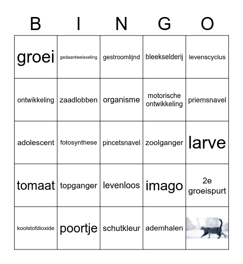 Planten en dieren Bingo Card