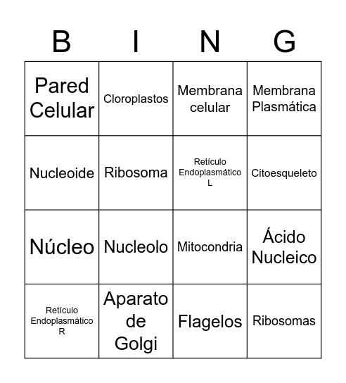 Organelos Bingo Card