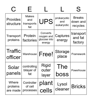 How well do you know cells Bingo Card