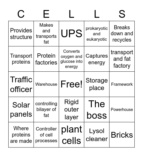 How well do you know cells Bingo Card