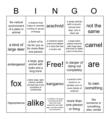 Vocabulary Animal Bingo Card