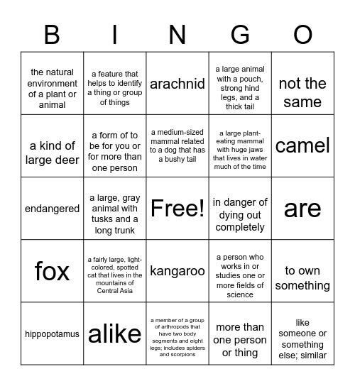 Vocabulary Animal Bingo Card
