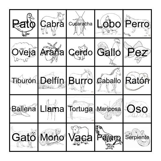 Animales Bingo Card