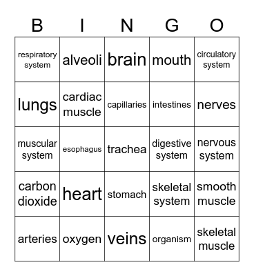 Organ Systems Bingo Card
