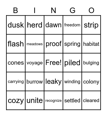 Vocabulary Bingo Card