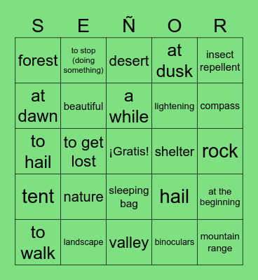 1A Vocabulario Bingo Card