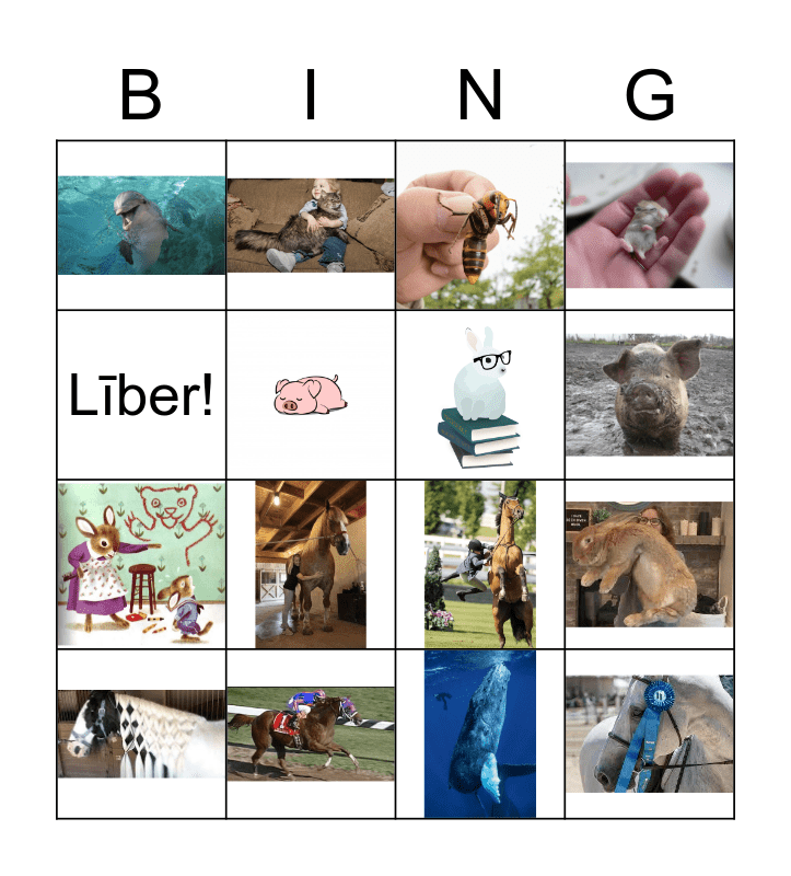 Latin Animals and Adjectives Bingo Card