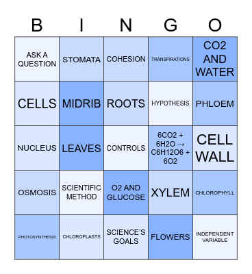 SCIENCE   1ST   BIMESTER  8B Bingo Card