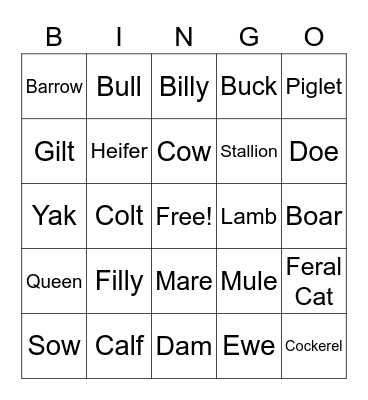 Animal Lingo Bingo Card