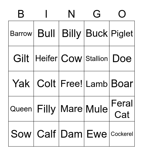 Animal Lingo Bingo Card