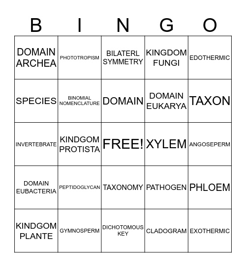 VOCABULARY Bingo Card