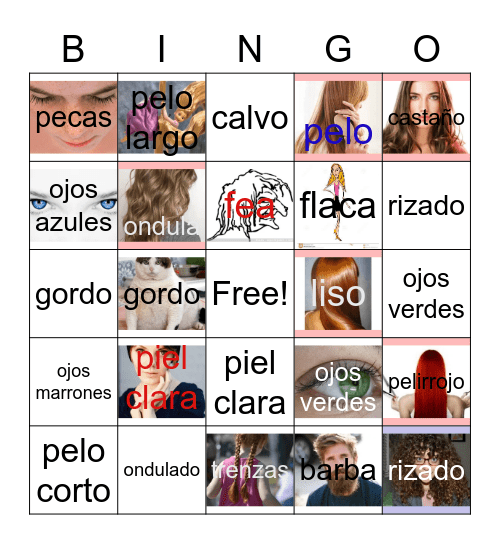 Descripciones físicas Bingo Card