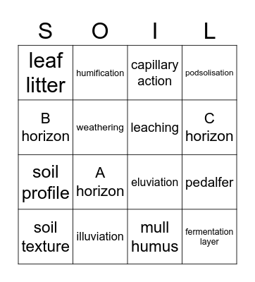 Soils Bingo Card