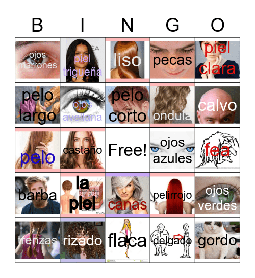 Descripciones físicas Bingo Card