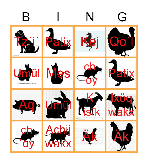 Ri  Chikopi´ Bingo Card