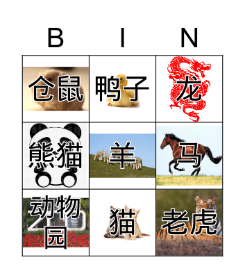L8-1动物和宠物(图片) Bingo Card