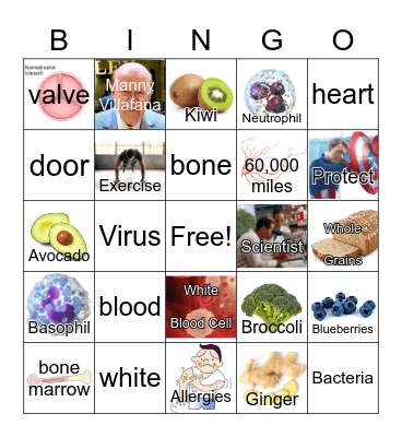 White Blood Cells Bingo Card