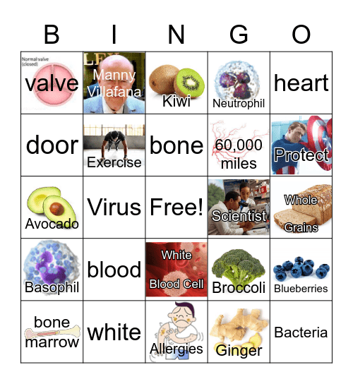 White Blood Cells Bingo Card