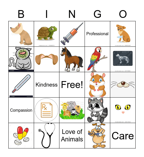 Veterinarian Bingo Card