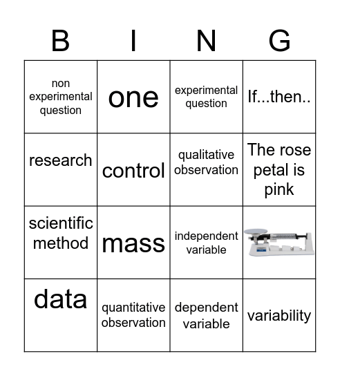 Scientific Method Review Bingo Card