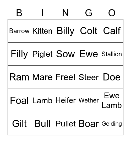 Sarah Klutts' Bingo Board Bingo Card