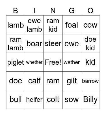 Animal Bingo Card