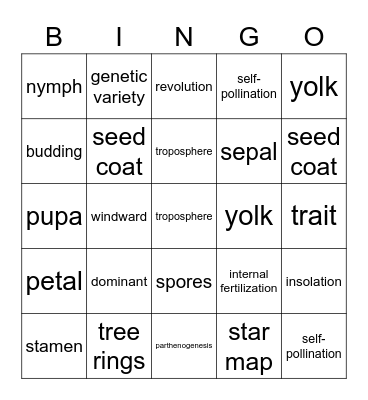 Unit B and C Vocab Bingo Card