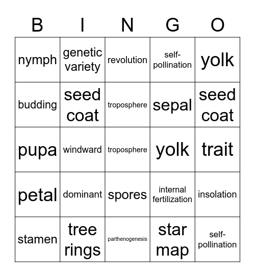 Unit B and C Vocab Bingo Card