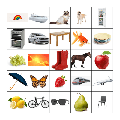 Cross the objects that match the rule Bingo Card