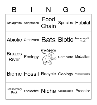 Water Rocks! Bingo Card