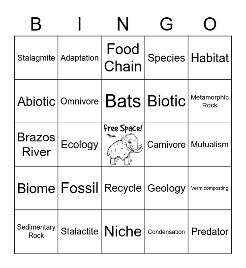 Water Rocks! Bingo Card