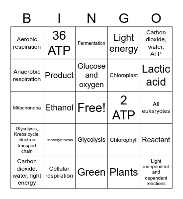 Cell Energy Bingo Card