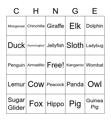 Social Time! Bingo Card