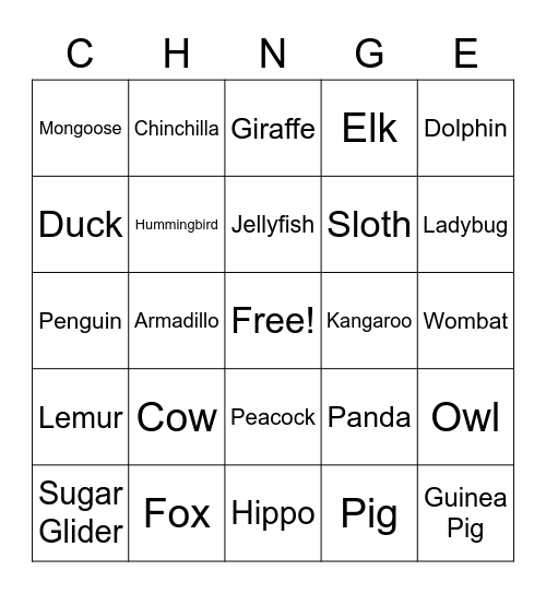 Social Time! Bingo Card