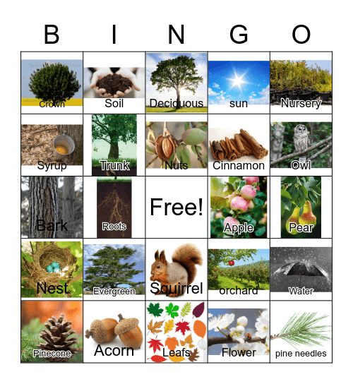 Tree bingo Card