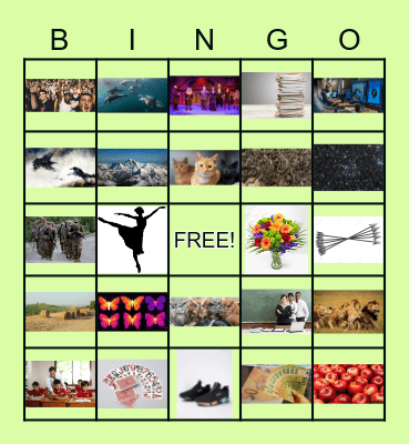 COLLECTIVE NOUNS Bingo Card