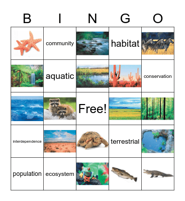 Ecosystems Bingo Card