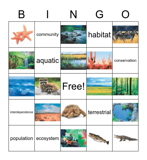 Ecosystems Bingo Card