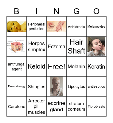 INTEGUMENTARY SYSTEM Bingo Card