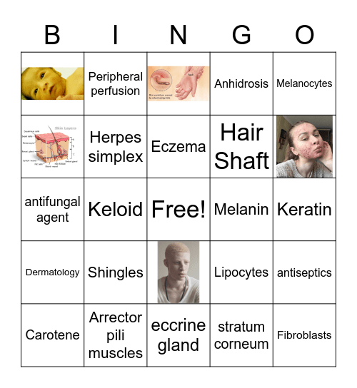 INTEGUMENTARY SYSTEM Bingo Card