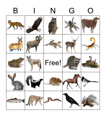 ANIMALS Bingo Card