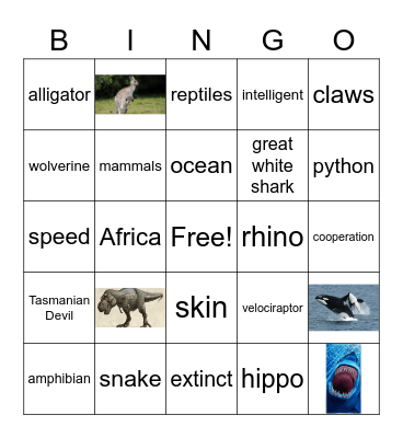 BATTLE ROYALE Bingo Card