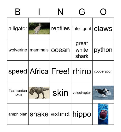 BATTLE ROYALE Bingo Card