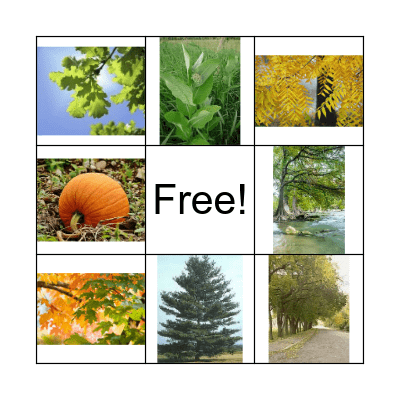 Fall Bounty Bingo Card