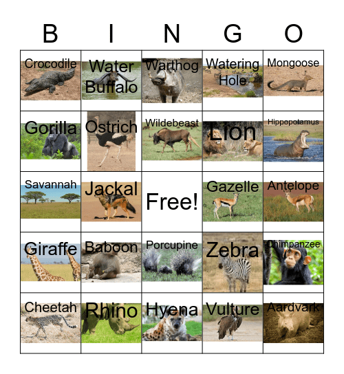 Safari Bingo Card