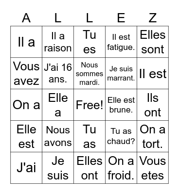 French II  Avoir et ETRE Bingo Card